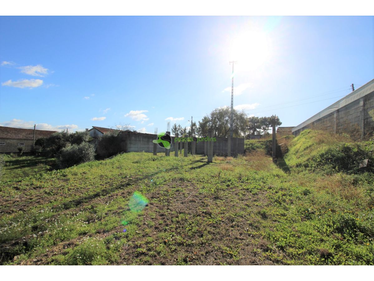 Terreno com 1200m2