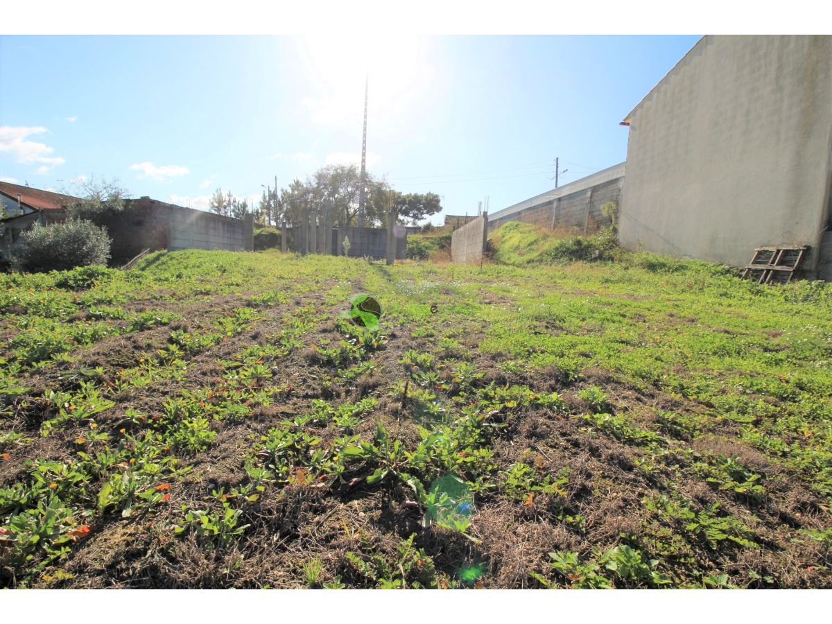 Terreno com 1200m2