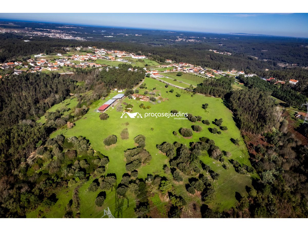 Magnifica Quinta em Zona Tranquila