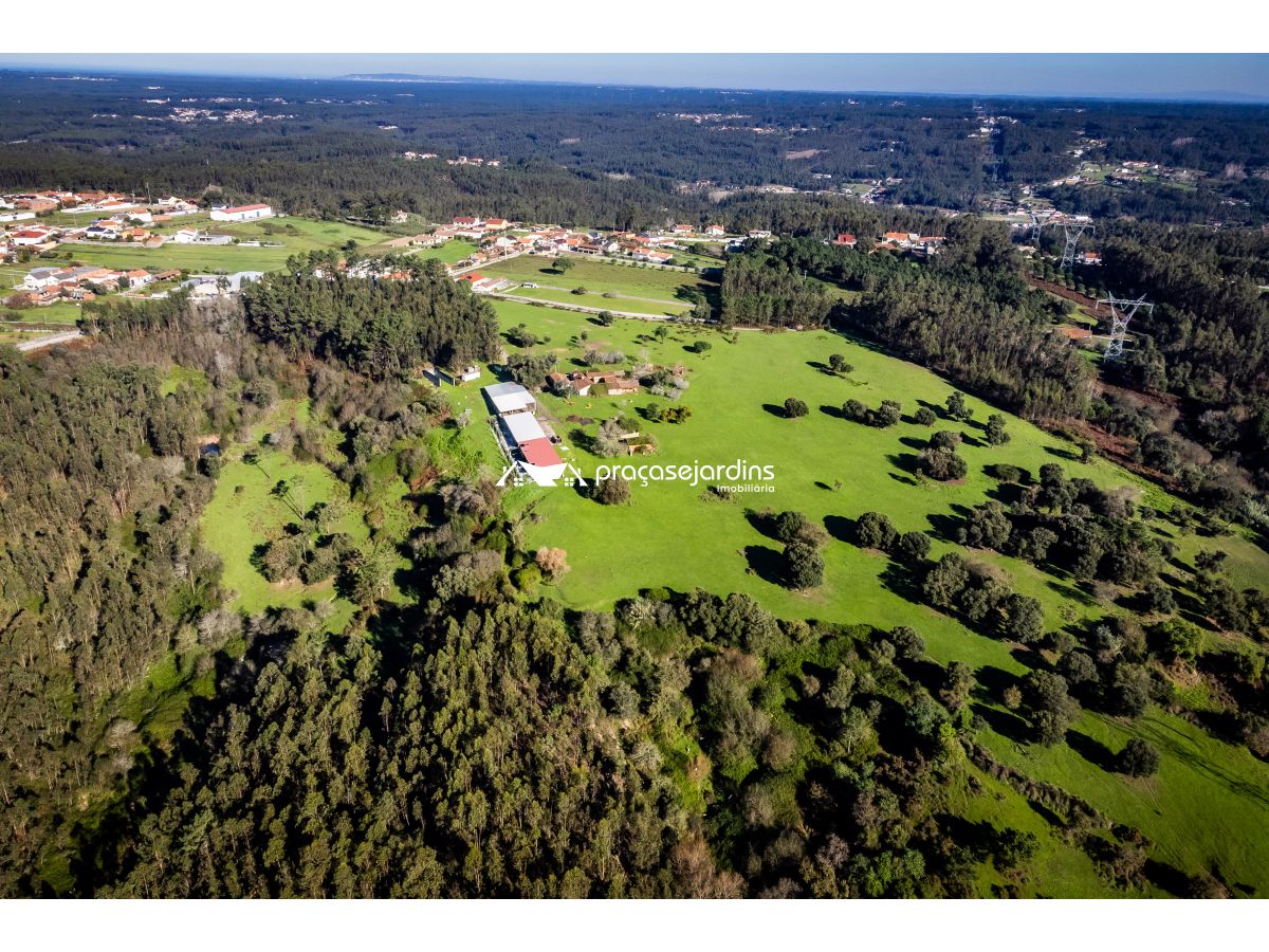 Magnifica Quinta em Zona Tranquila