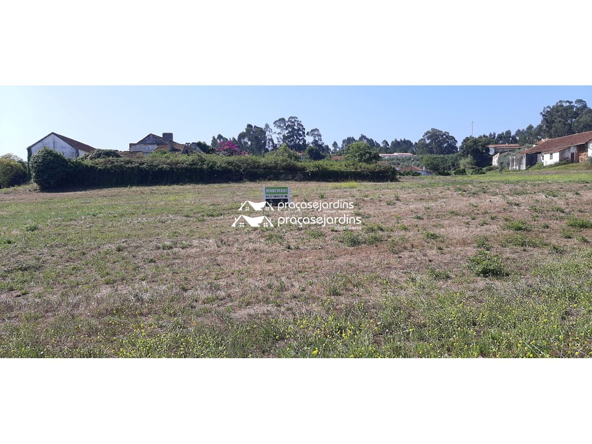 Quintas e Herdades — JUNCAL, Porto de Mós [FLa1969]