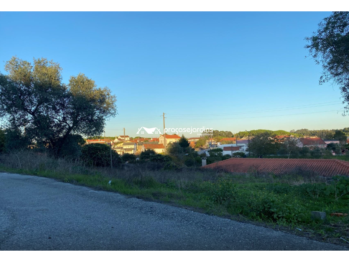 Terrenos — MACEIRA LRA, Leiria [flP1905]